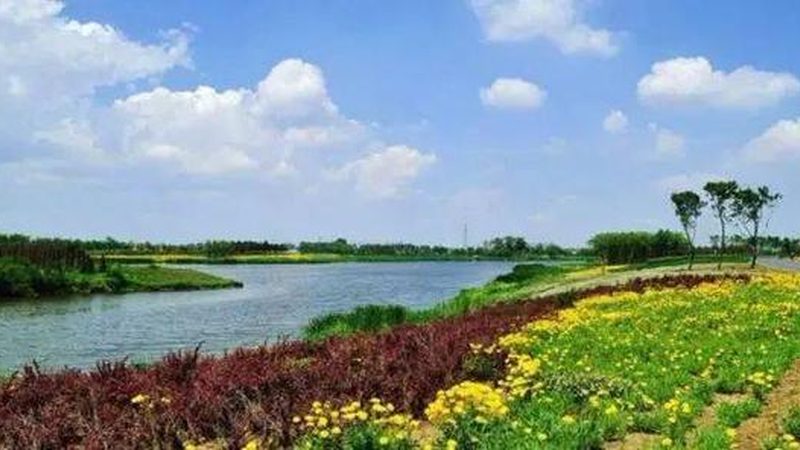 阿克苏苹果种植：气候条件解析与种植要点