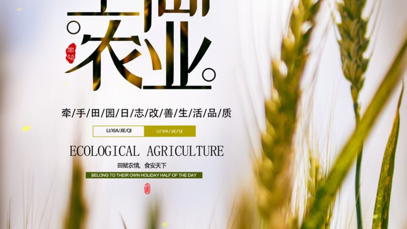 农村合作社税收优惠政策全解析