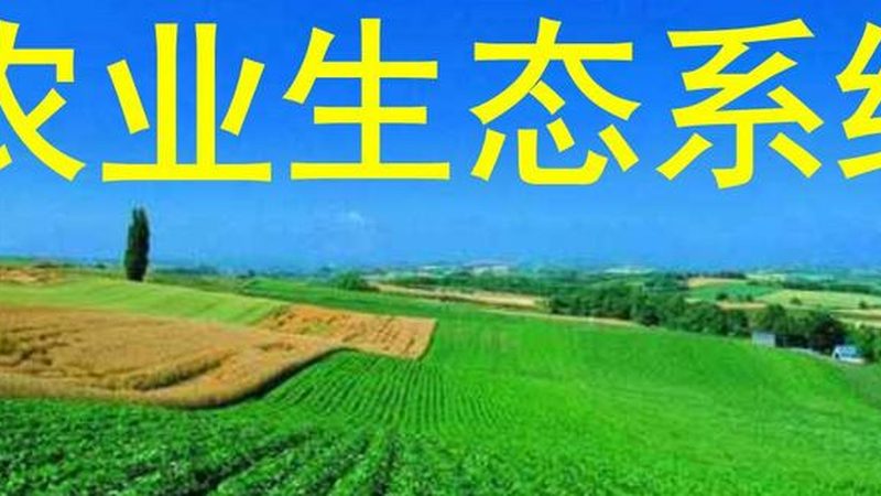 北京绿色食品公司资质揭秘：标准解读与认证要点