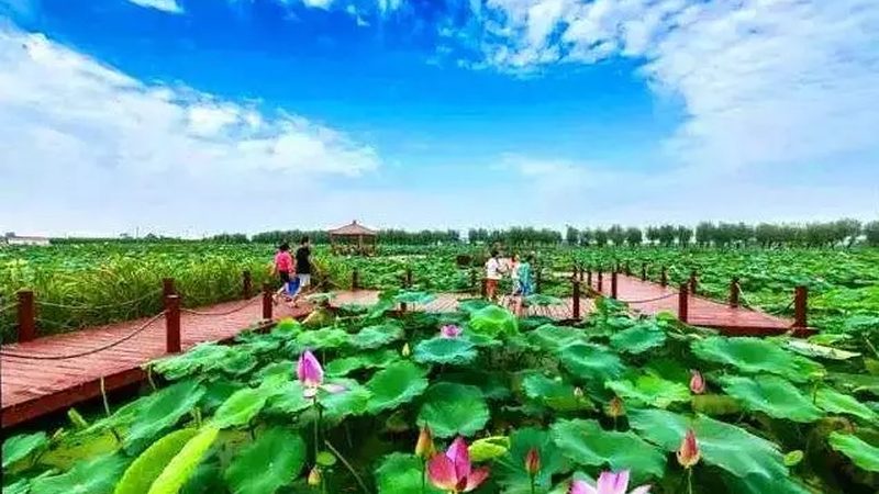 河南农资展会2025年：展望未来农业发展趋势**