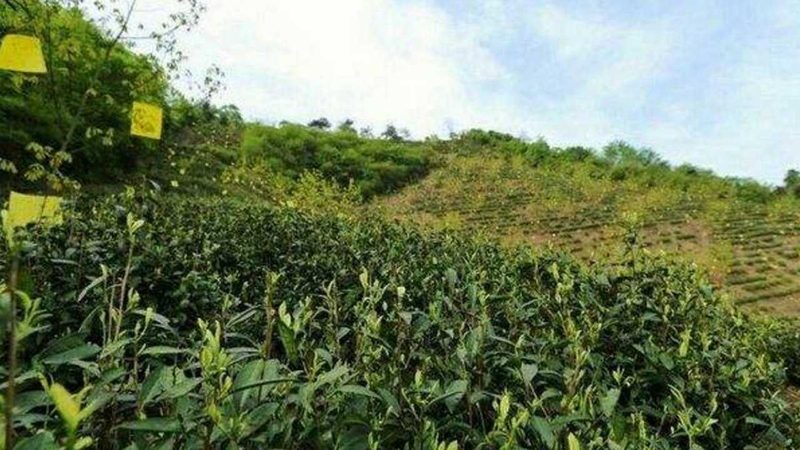 农资短视频获客技巧教程