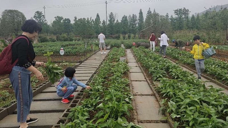 农资网上报价，如何辨真伪？**