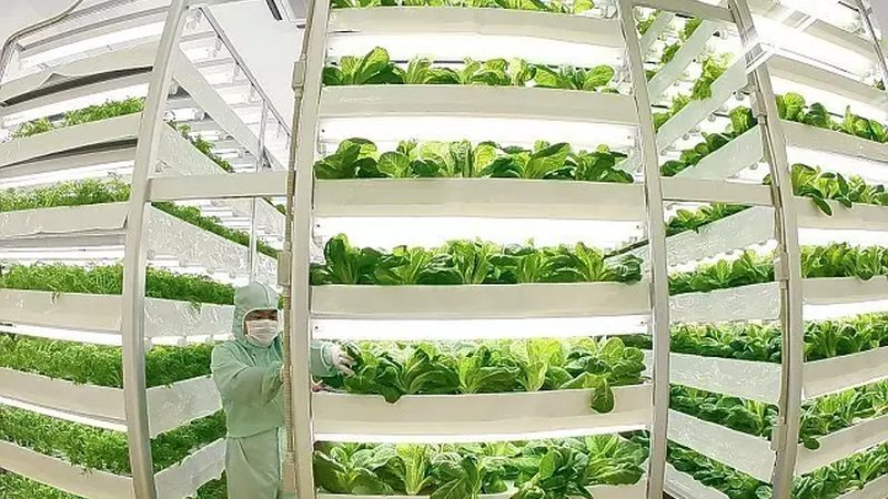 生鲜配送供应商排名：揭秘优质供应商的“绿色”密码