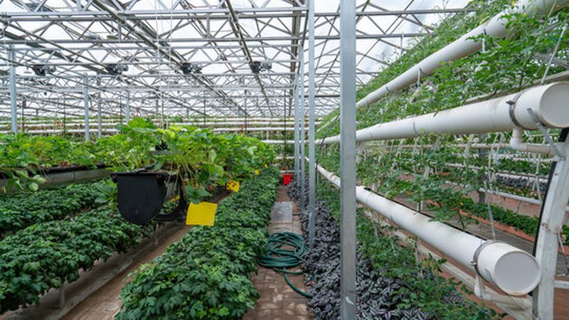 成都农业种植合作社注册流程