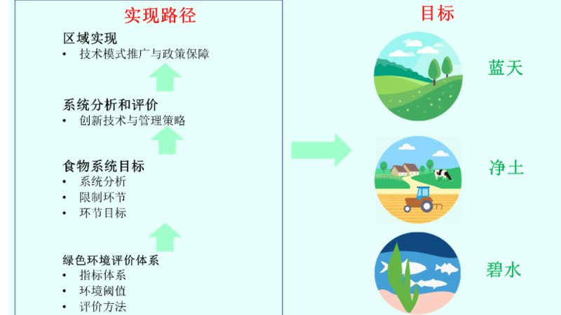 绿色食品公司报价单：解码背后的认证与价值**