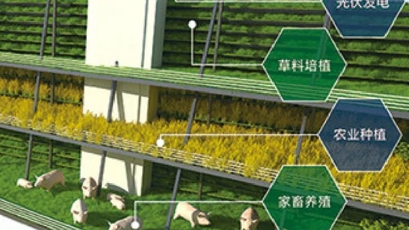 新疆特色水果种植气候条件解析