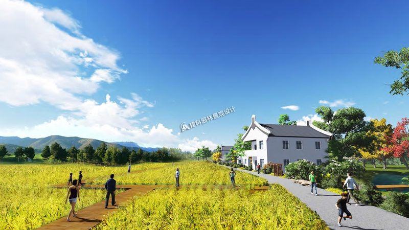 农产品批发供应链管理：规范价格背后的逻辑**