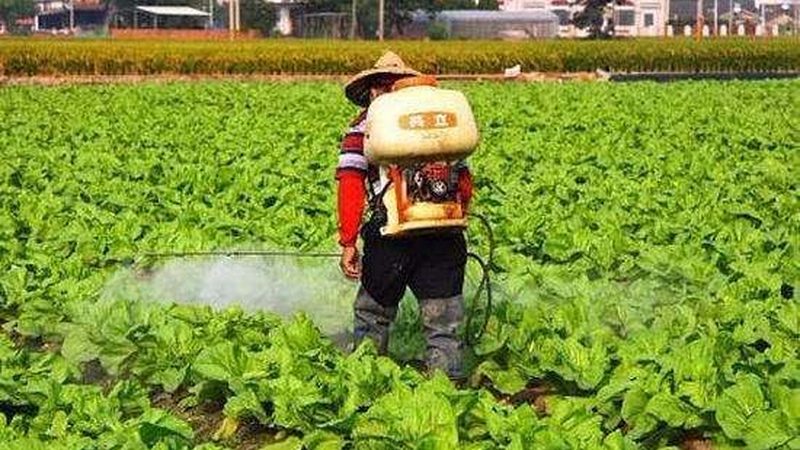 农产品批发包材定制加盟费用主要包括以下几个方面：